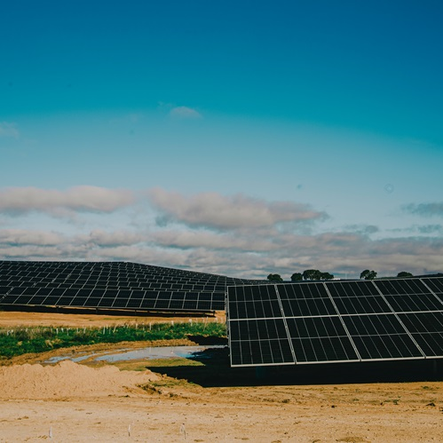 affittare terreni per fotovoltaico