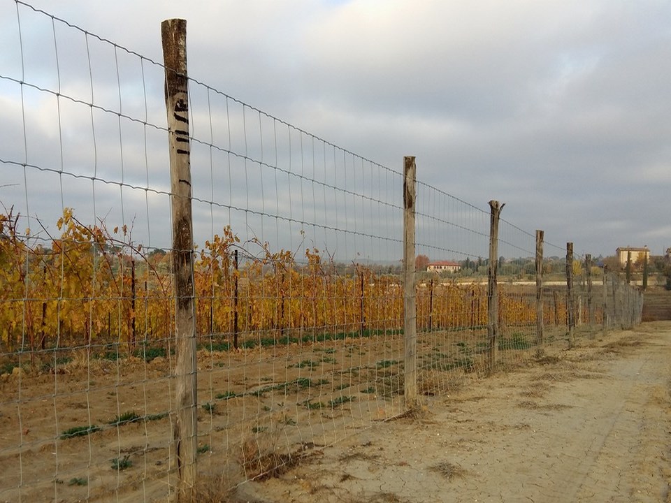 Recinzioni agricole per vigneti