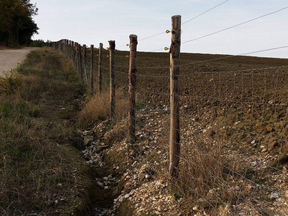 Costruzione recinzione vigneti