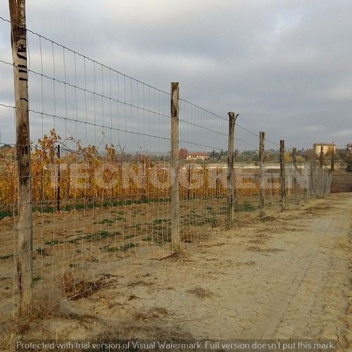 Siena - Costruzione recinzioni agricole per vigneti 