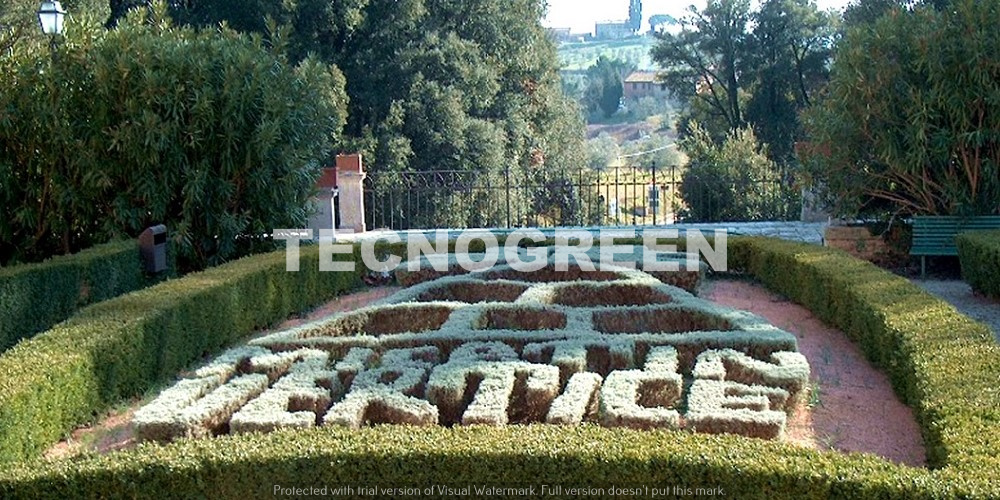 Grosseto - Servizi di giardinaggio