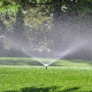 Grosseto-Irrigazione automatica